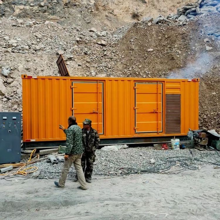 桥头镇如何选择适合自己的 800KW 柴油发电机组？